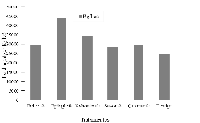 Rendimiento kg/ha-¹
de tomate.